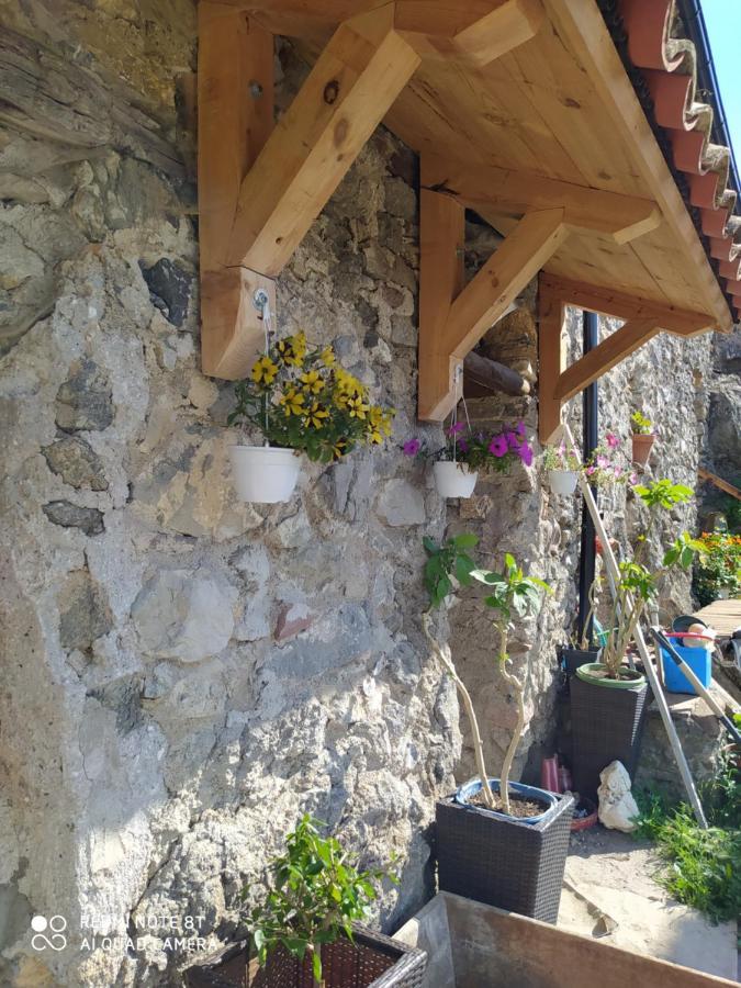 Massia Gasset Bed & Breakfast Senterada Dış mekan fotoğraf
