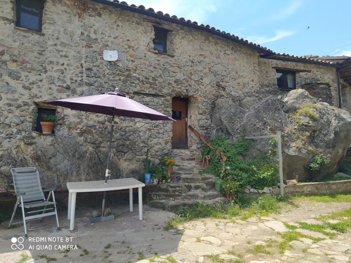 Massia Gasset Bed & Breakfast Senterada Dış mekan fotoğraf