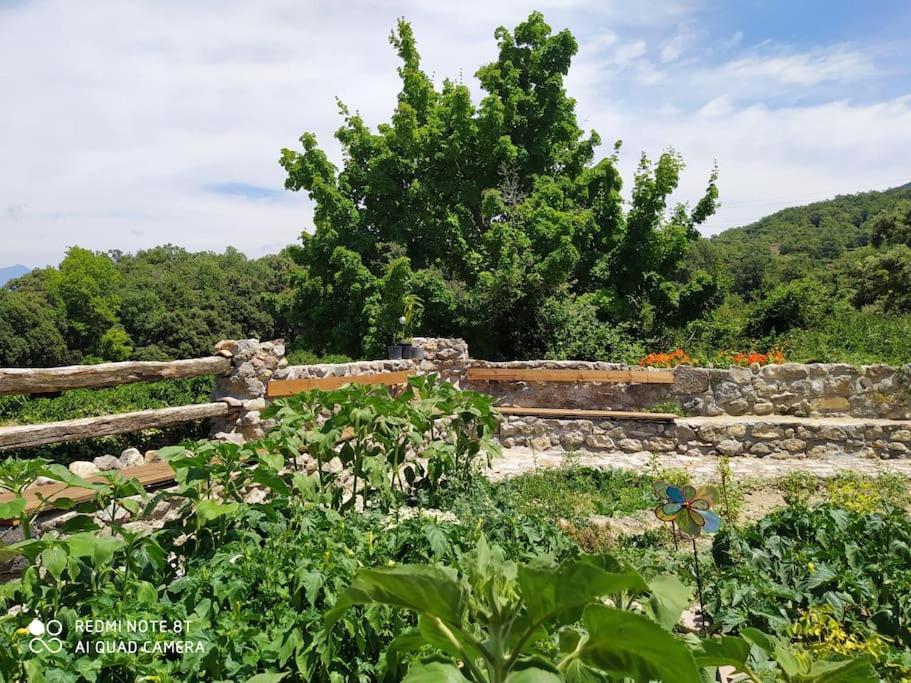Massia Gasset Bed & Breakfast Senterada Dış mekan fotoğraf