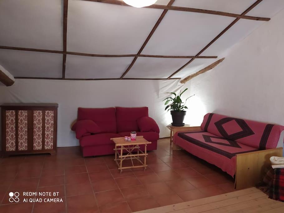 Massia Gasset Bed & Breakfast Senterada Dış mekan fotoğraf