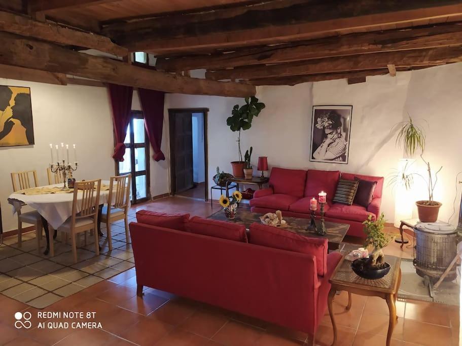 Massia Gasset Bed & Breakfast Senterada Dış mekan fotoğraf
